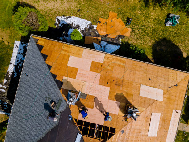 Roof Gutter Cleaning in Bonanza, GA