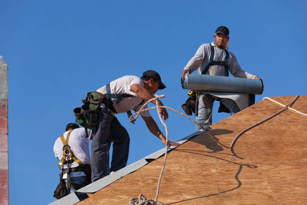 Best Gutter Installation and Roofing  in Bonanza, GA