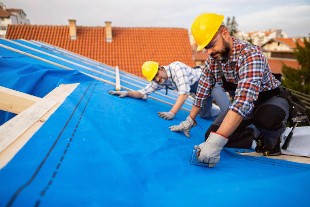 Professional Roofing Contractor in Bonanza, GA